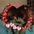 Lorie Walton-Naylor's profile image