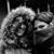 Martina Bormolini's profile image