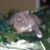 Stacie L Bratton's profile image