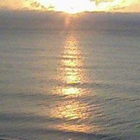 Kathie Morris's profile image
