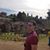 Robert Sonandres's profile image