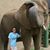 Emily Goldstein's profile image