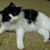 Marsha Chapman Wagers's profile image