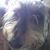 Madona Gorney's profile image