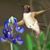 Amy Hudson Branton's profile image