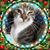Kathryn Collins's profile image