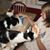 Beth Heiberger's profile image