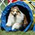 Stephanie Burdett's profile image
