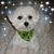 Phyllis Fessler Combs's profile image