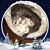 Bre Holland's profile image