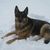 Terry Doane's profile image