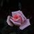 Sandra Somerville Cook's profile image