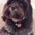 Linda Evans Green's profile image