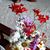 Dina Borneman's profile image