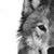 Jennifer Gallegos's profile image