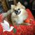 Michele Caitlyn-Strout's profile image