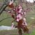 Lagene Taylor's profile image
