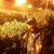 Kristopher Surbrook's profile image