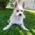 Bobbie Drysdale's profile image