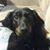 Margaret Manning's profile image