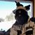Alastair Hewitt's profile image