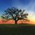 Judy Kannady Jackson's profile image
