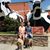 Kim Chewning Miller's profile image