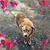 Liz Quiroga's profile image