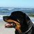 Lisa Bohannon's profile image
