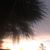 Connie Venters Whitehead's profile image