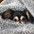 Lisa Tinnerman's profile image