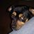 Daphne Guffey Delahunt's profile image