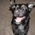 Carolyn Barfield Kidd's profile image