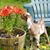 Debbie Wheeler's profile image