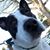 Chuck Metzger's profile image