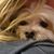 Alison Whitney's profile image