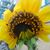 Katharine Hill's profile image