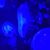 Elisabeth Beck's profile image