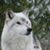Christine Puliselic's profile image