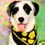 Clarebear McCuen's profile image
