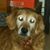 Don Beaman Sr.'s profile image