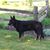 Jessica Walberg Jacobs's profile image