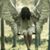Dena Mcdowell's profile image