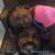 Benjamin George's profile image
