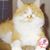 Susan Mahoney's profile image