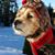 Kris Coolen Verdi's profile image