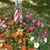 Sharon Welch Tritt's profile image