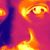 Mo Saucedo's profile image