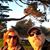 Jim Padelt's profile image