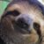 Holly Fossum's profile image